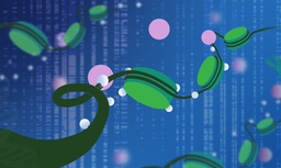 Apply now: Epigenetics for Educators