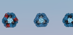 Resolution Revolution—FEBS Letters' Cryo-Electron Microscopy Special Issue