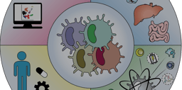 Special Issue: Dendritic cells in health and disease