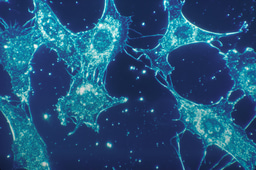Levelling the Playing Field: Resource Stratification, Decentralised Trials and Accessible Therapies
