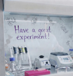 How the Right Labmate Preserves Our Sanity