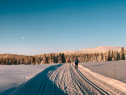 The 59th Contact Meeting of the Norwegian Bioscience Society