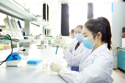 Embedding authentic research-based learning into a large final-year undergraduate unit