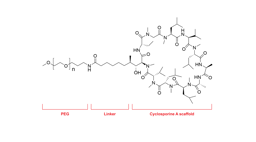 A selective small molecule modulates neutrophil activity