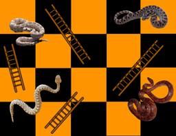 Snakes and Ladders
