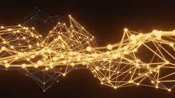 The support network