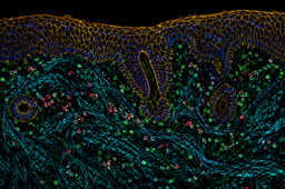 Designing A World That Refuses to Seed Cancer: A 2050 Perspective