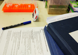 Preparing the next generation – How to be a good mentor to a new student at the lab