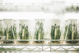 Unraveling the environmental impact of science