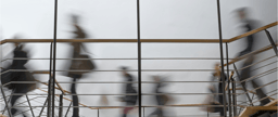 Engaging young and early-career scientists in the science-policy interface