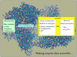 Making enzyme data fully accessible
