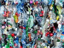 "Plastics: revolution, pollution and substitution" at the 2021 FEBS Congress