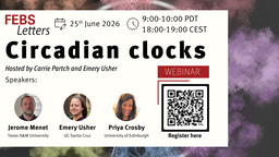 Upcoming FEBS Letters Webinar: Circadian Clocks