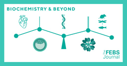 The FEBS Journal, where biochemistry is the starting point – not the limit! 