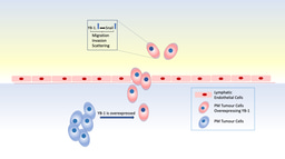 Shedding light on key genes behind aggressive phenotype of pleural mesothelioma