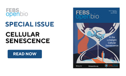 In the Limelight: Cellular Senescence