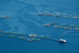 Fish health matters: Interdisciplinary research and collaboration is needed