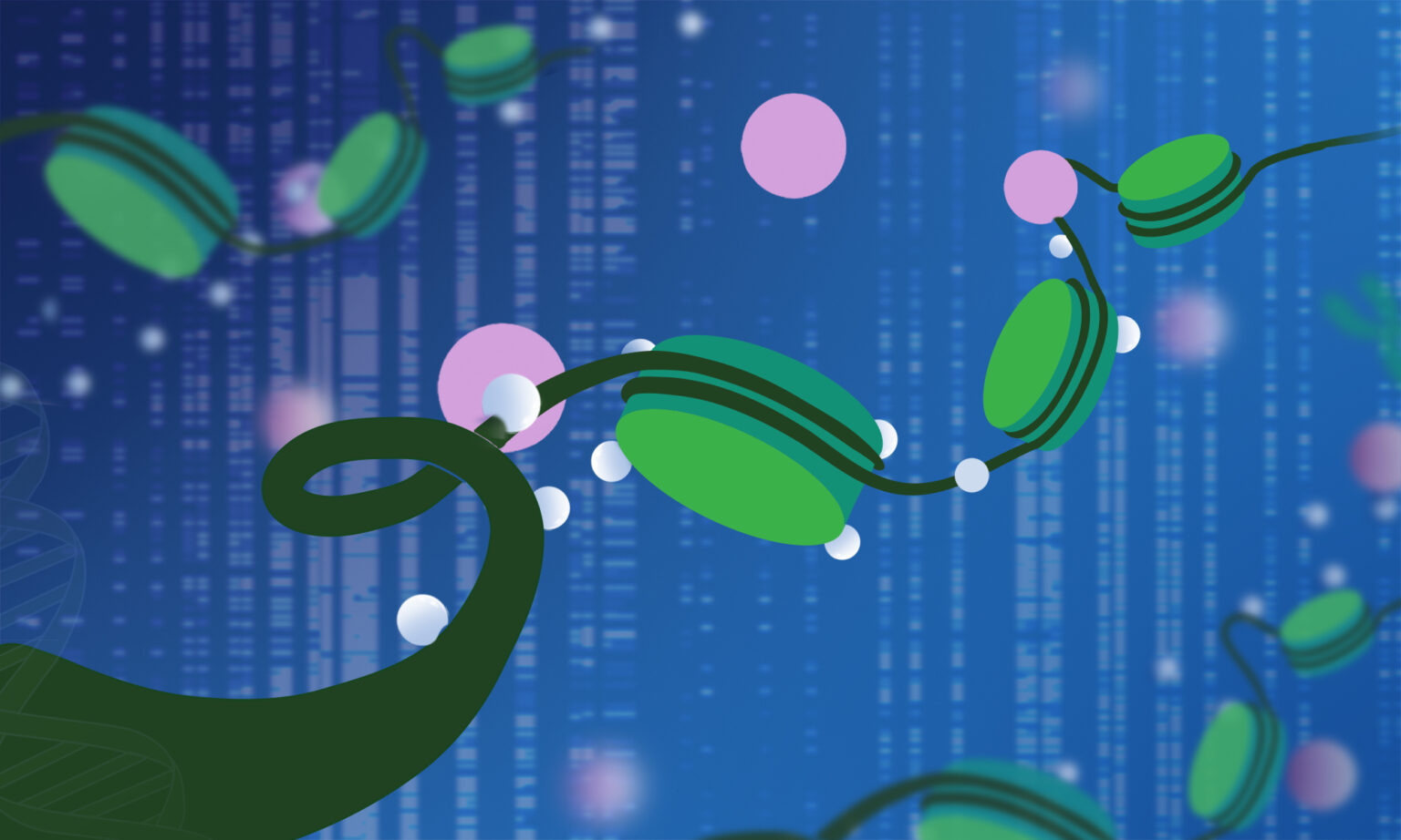 Apply now: Epigenetics for Educators