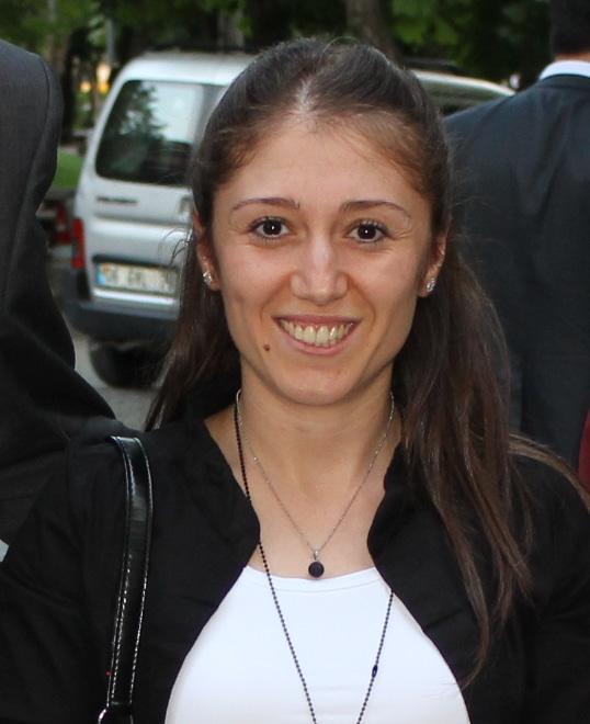 Go to the profile of Sema Aygar