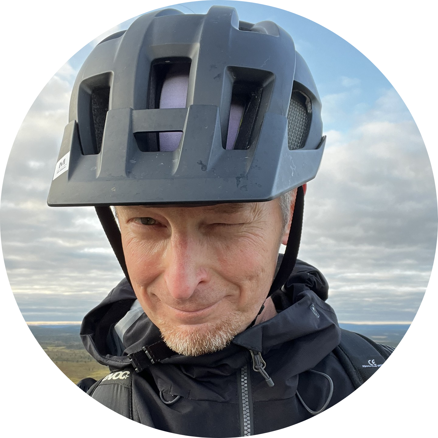 Go to the profile of Ilpo Vattulainen