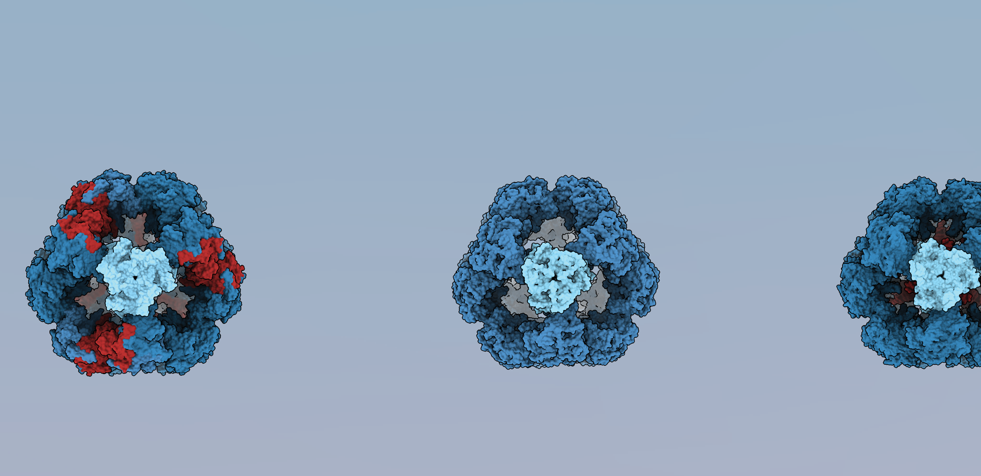 Resolution Revolution—FEBS Letters' Cryo-Electron Microscopy Special Issue