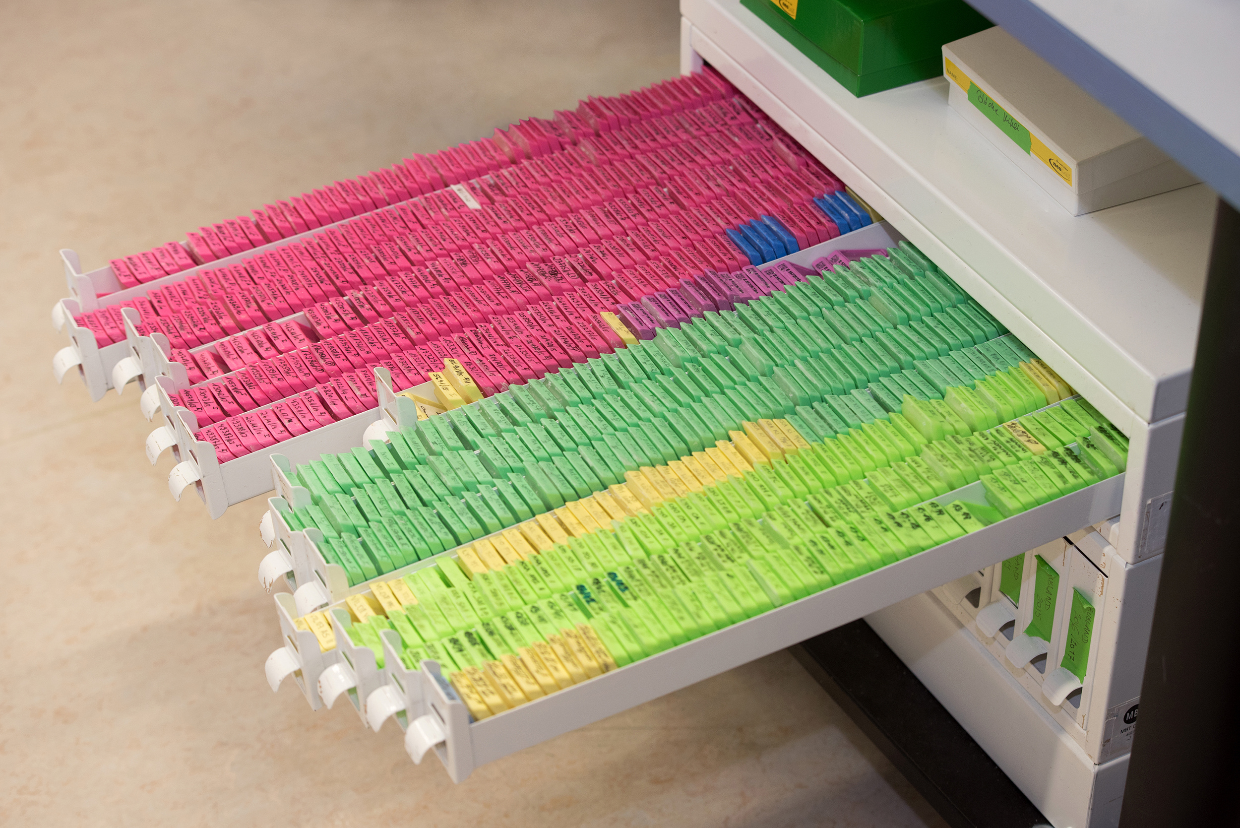 The life and work of a translational scientist