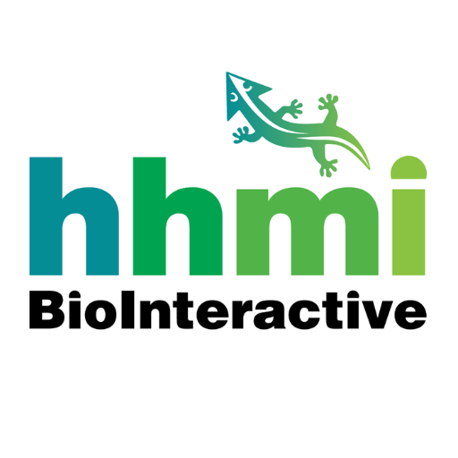 Go to the profile of HHMI BioInteractive