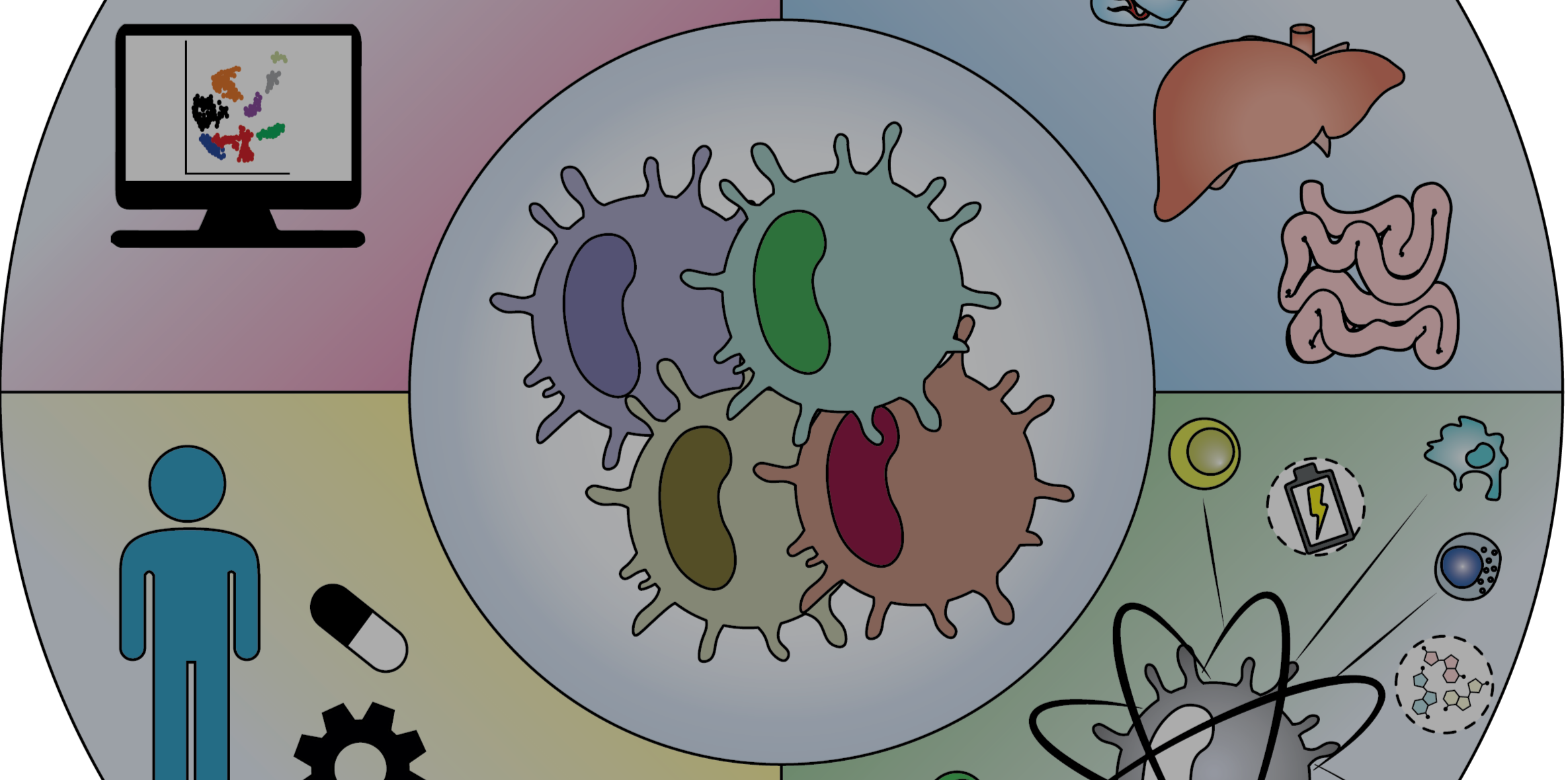 Special Issue: Dendritic cells in health and disease
