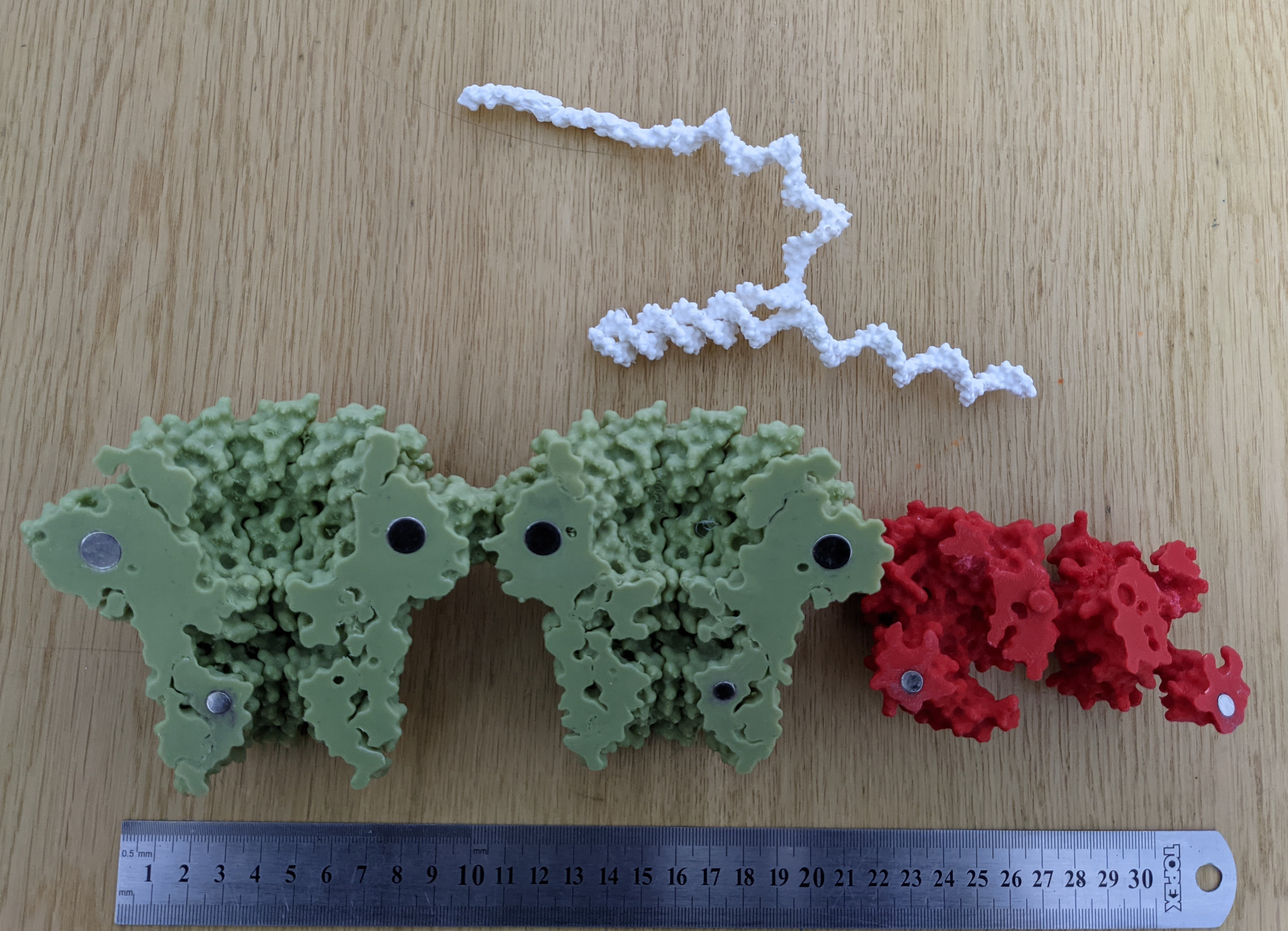 3D Printed model of DNA-Sequencing Nanopore