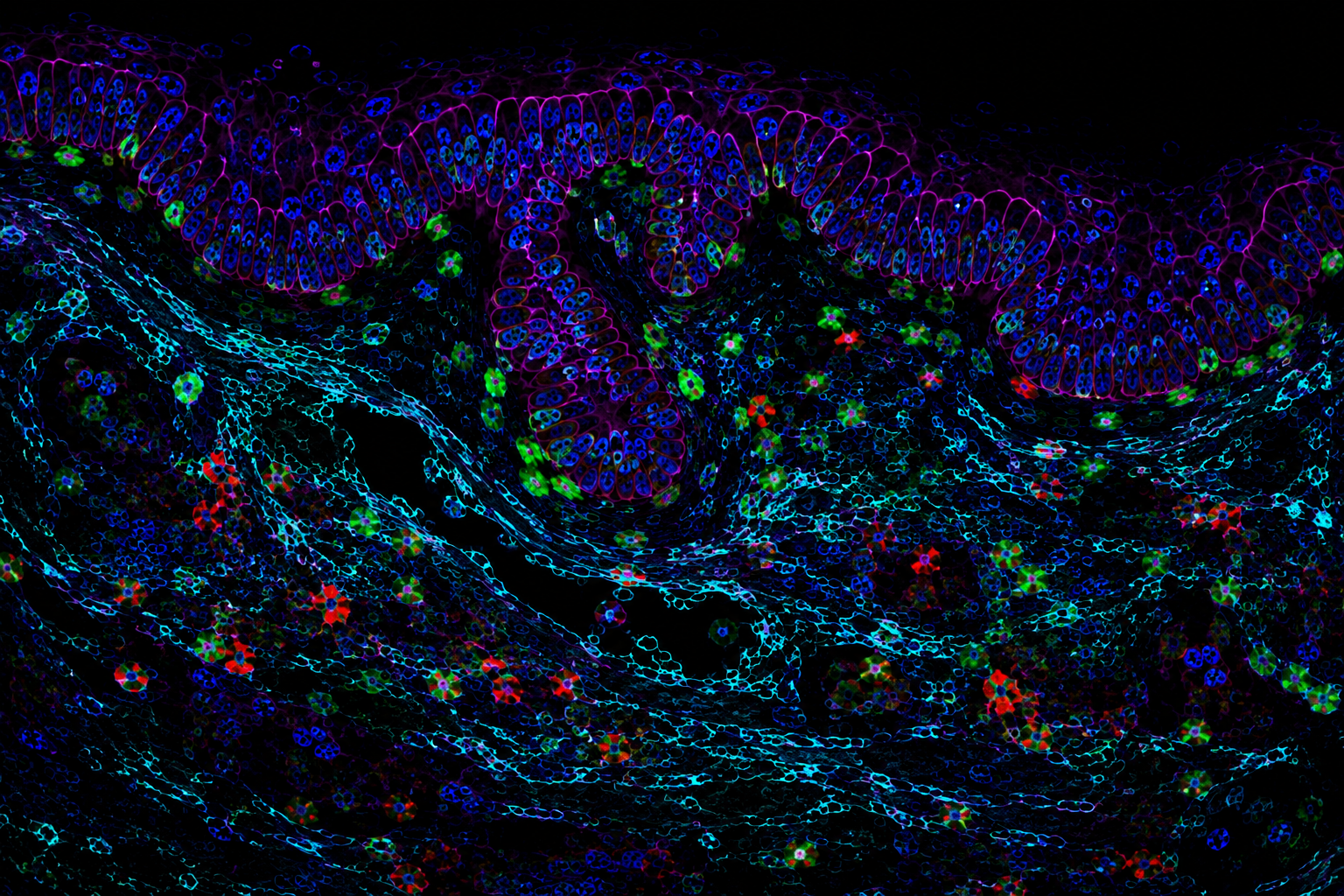 Intercepting the Molecular Echoes of 2050