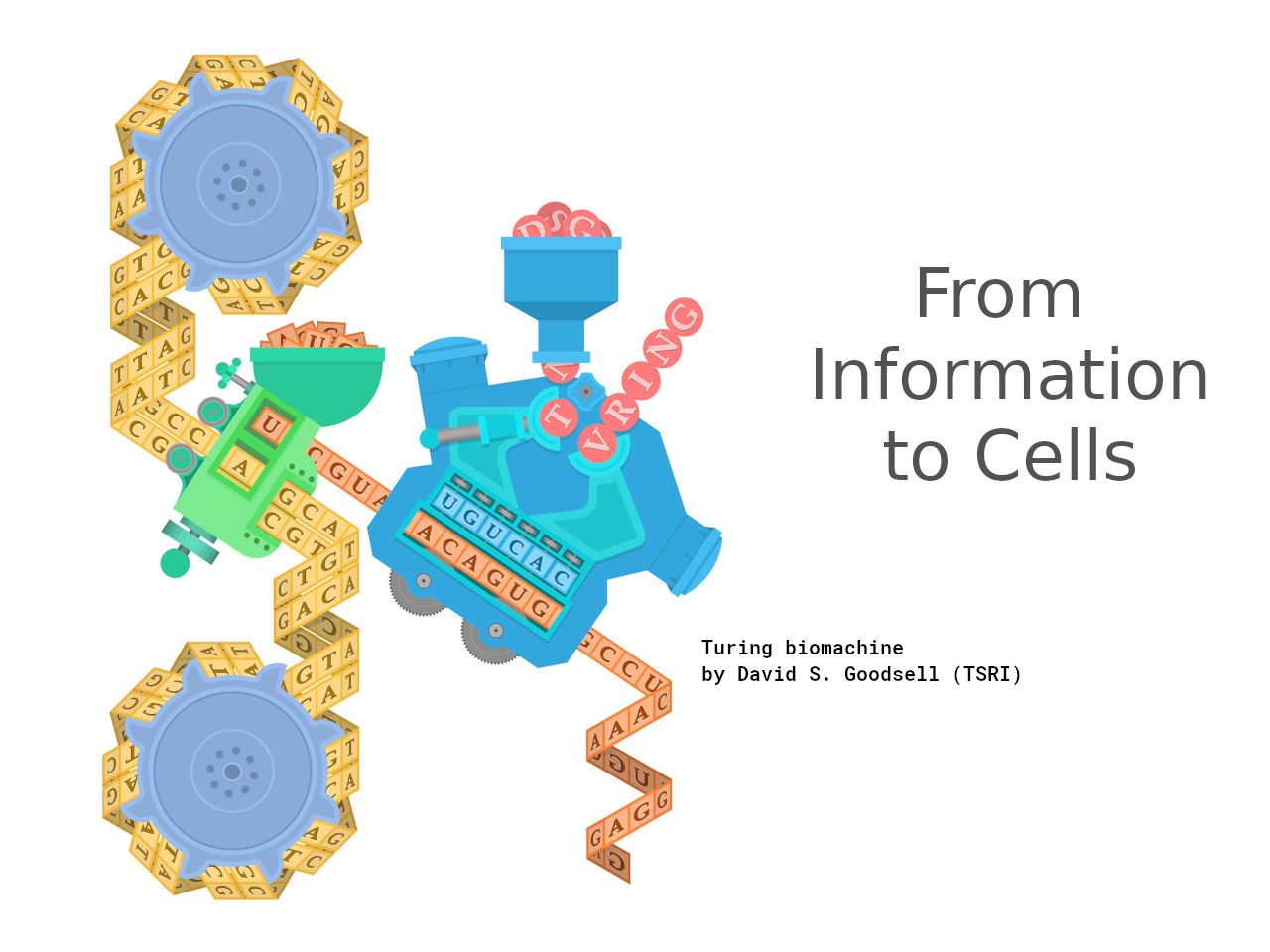 The I2CELL Seed Award from the Fourmentin-Guilbert Foundation 