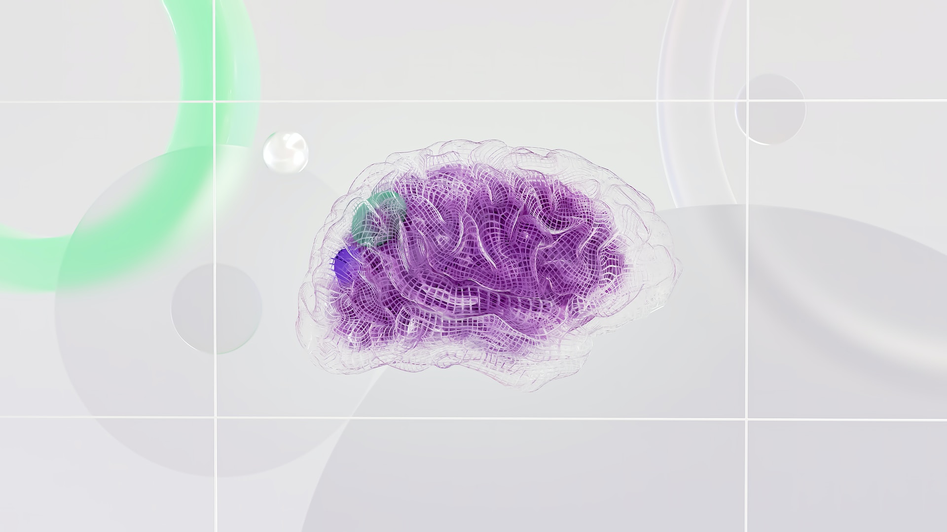 Neuroscience and SEBBM