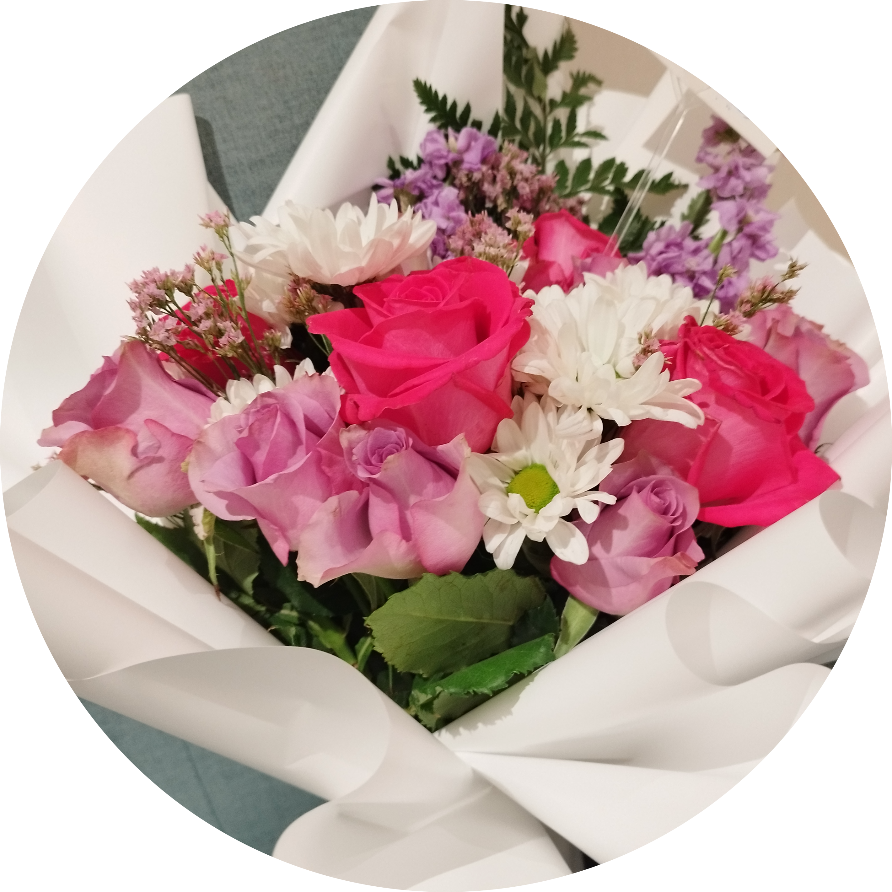 Go to the profile of Neaam aburas