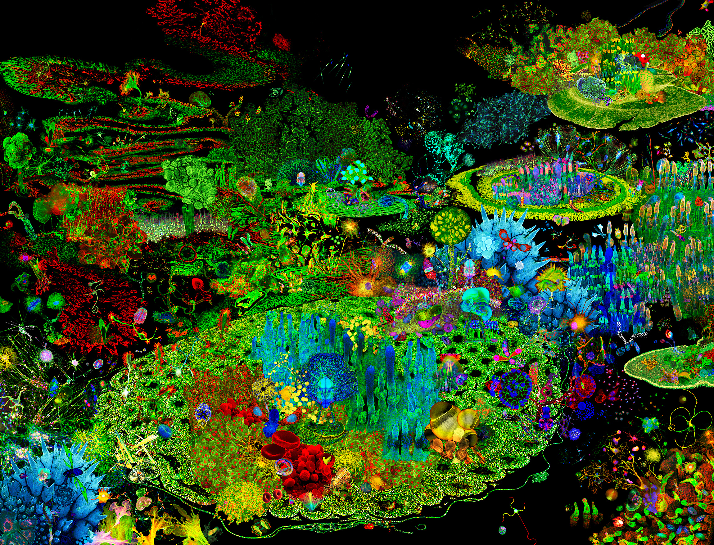 Art and Science break boundaries in The Garden of Earthly Delights