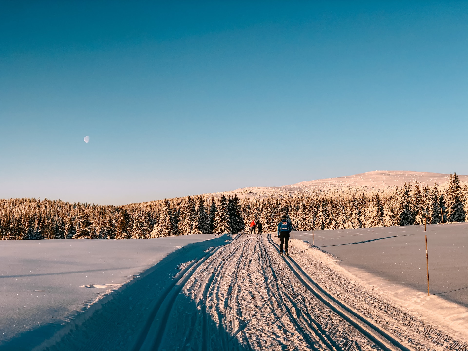 The 59th Contact Meeting of the Norwegian Bioscience Society