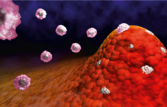 The FEBS Journal Special Issue on Inflammation and Cancer