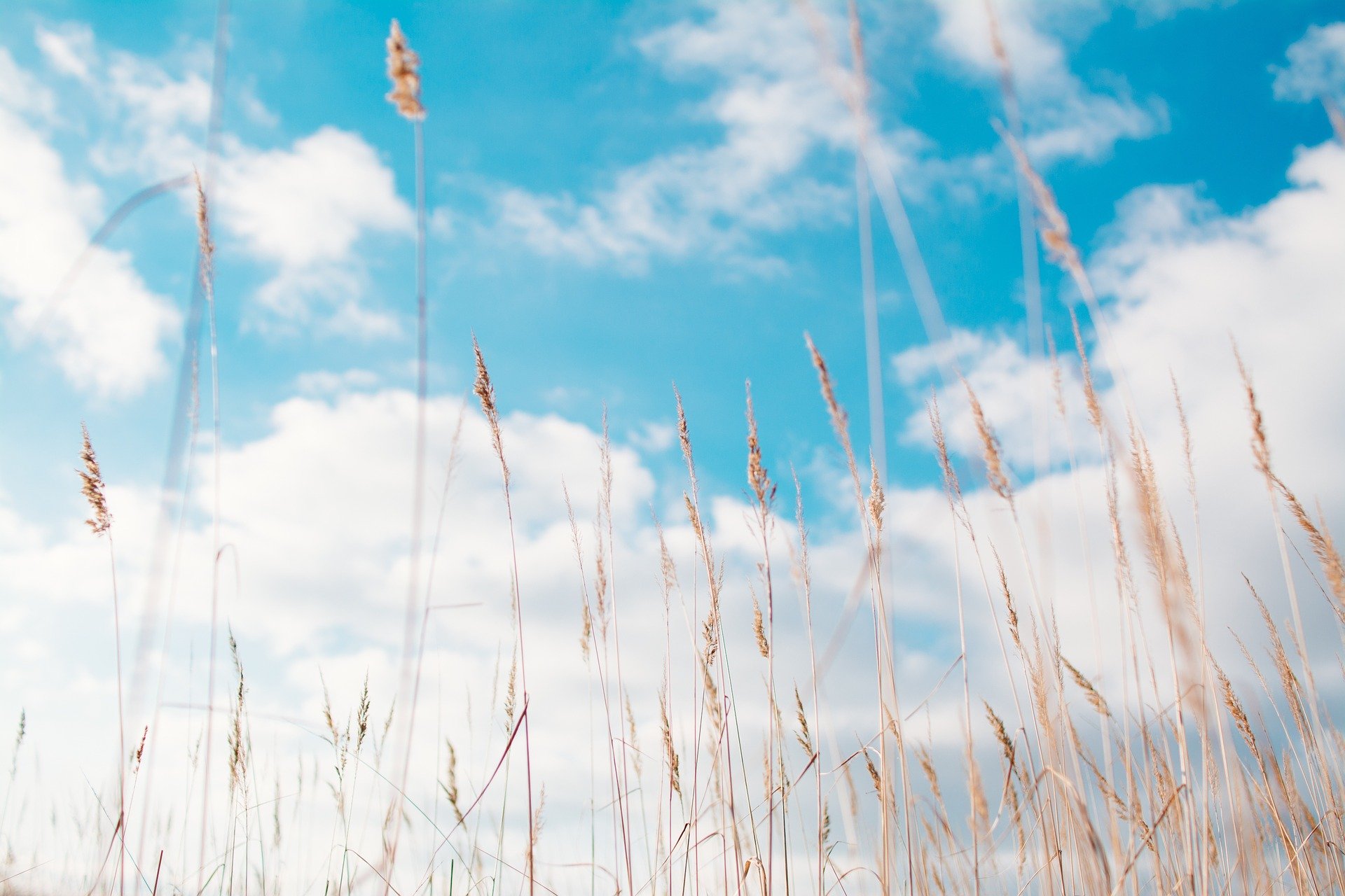 FEBS Summer Fellowships 2021