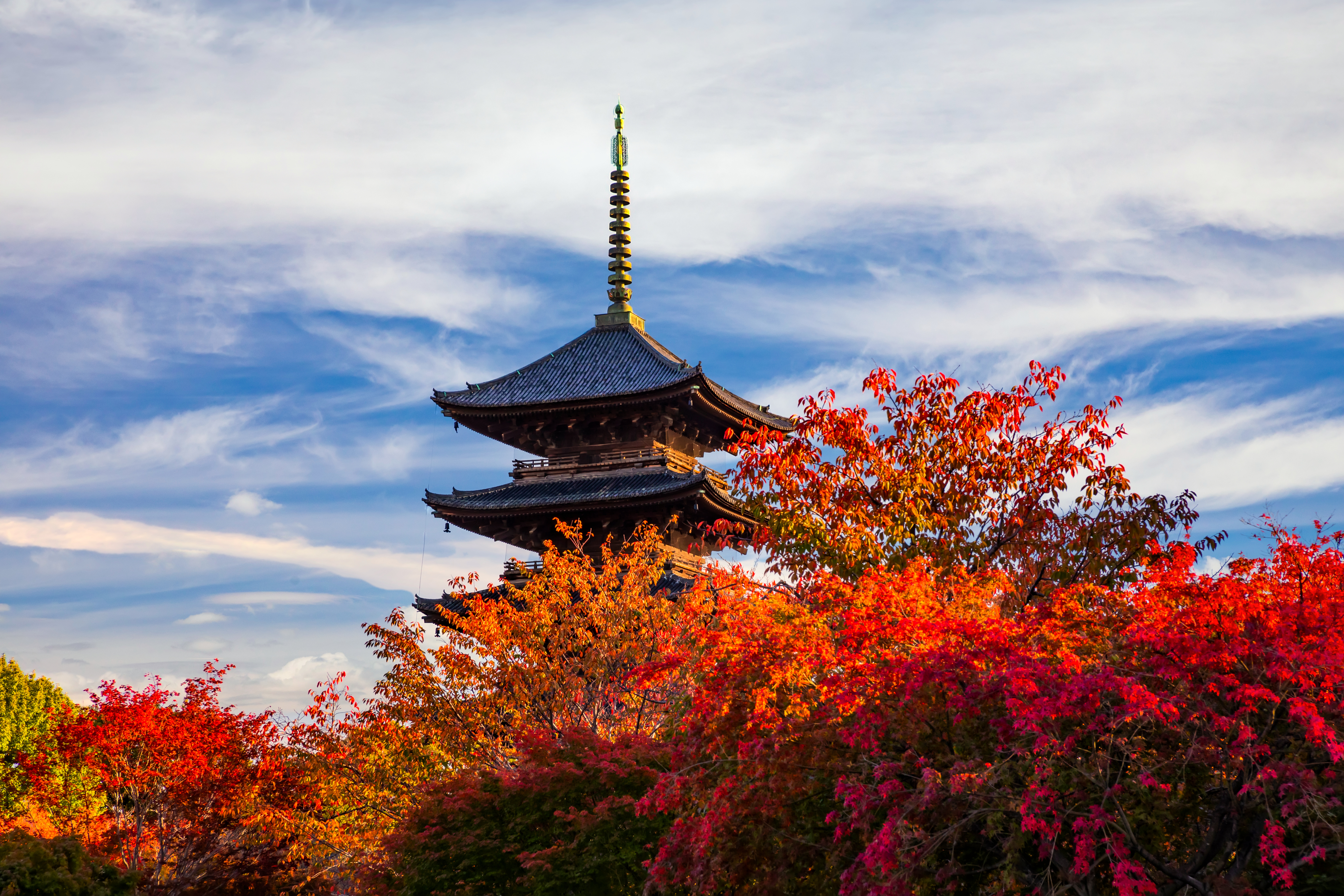 FEBS congratulates the Japanese Biochemical Society on its 100th anniversary