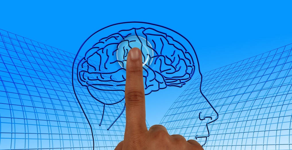 Janet Zadina interview: Translating neuroscience into educational practice 