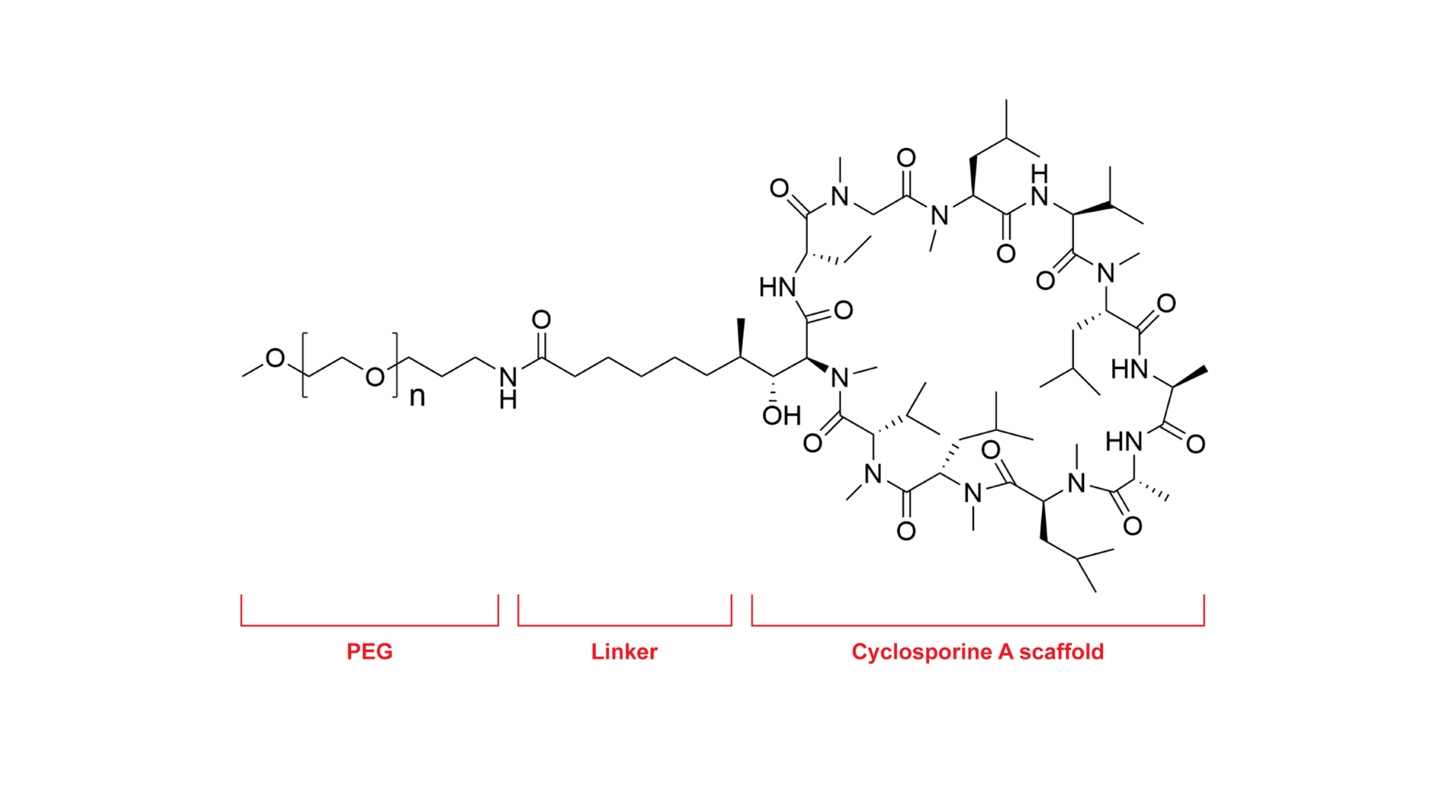A selective small molecule modulates neutrophil activity