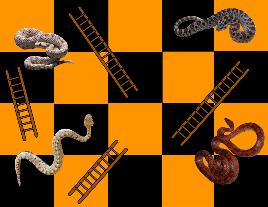 Snakes and Ladders