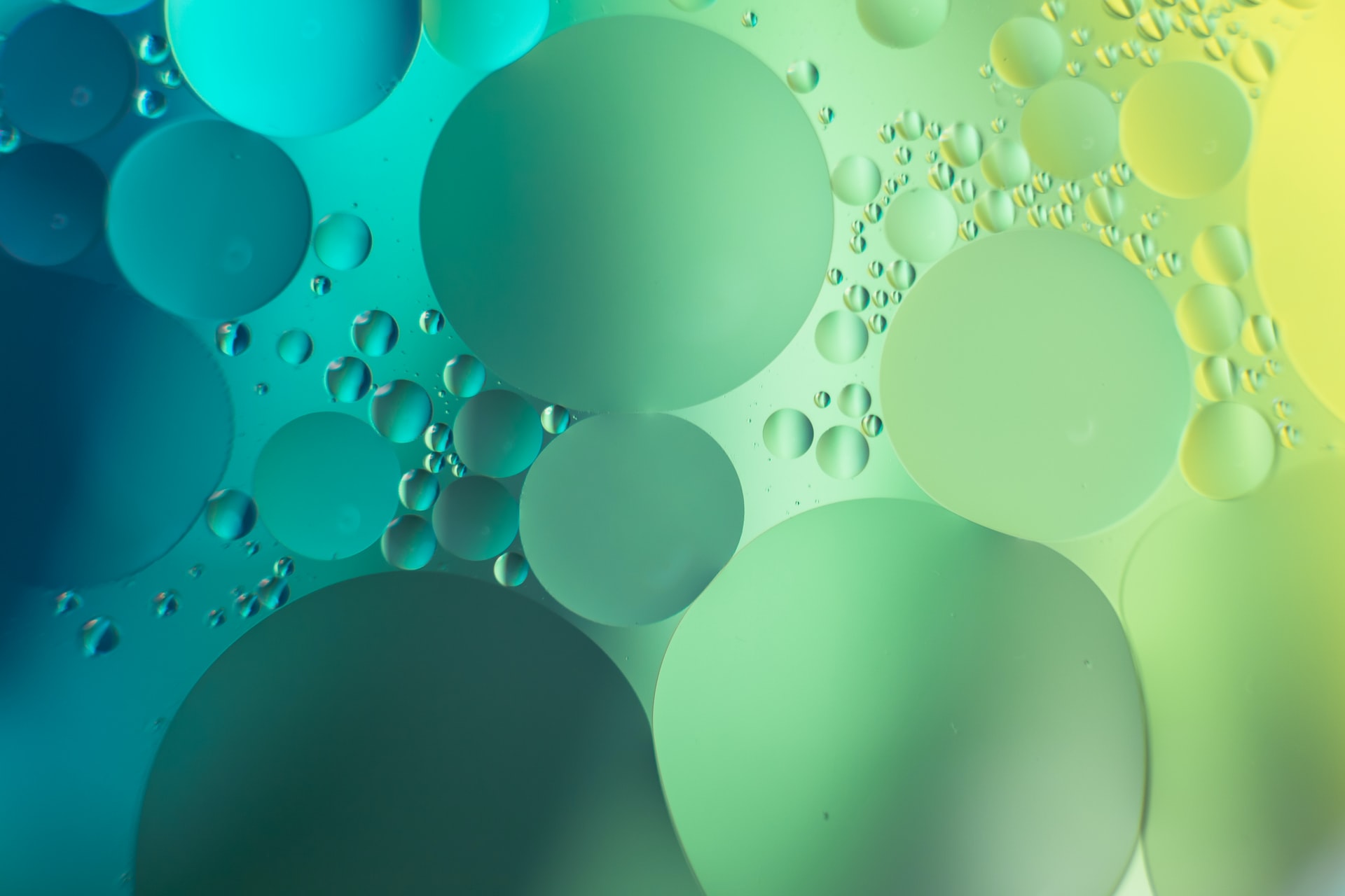Green Laboratory Work Conference 2022