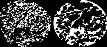 A Molecular Oncology collection for Breast Cancer Awareness Month