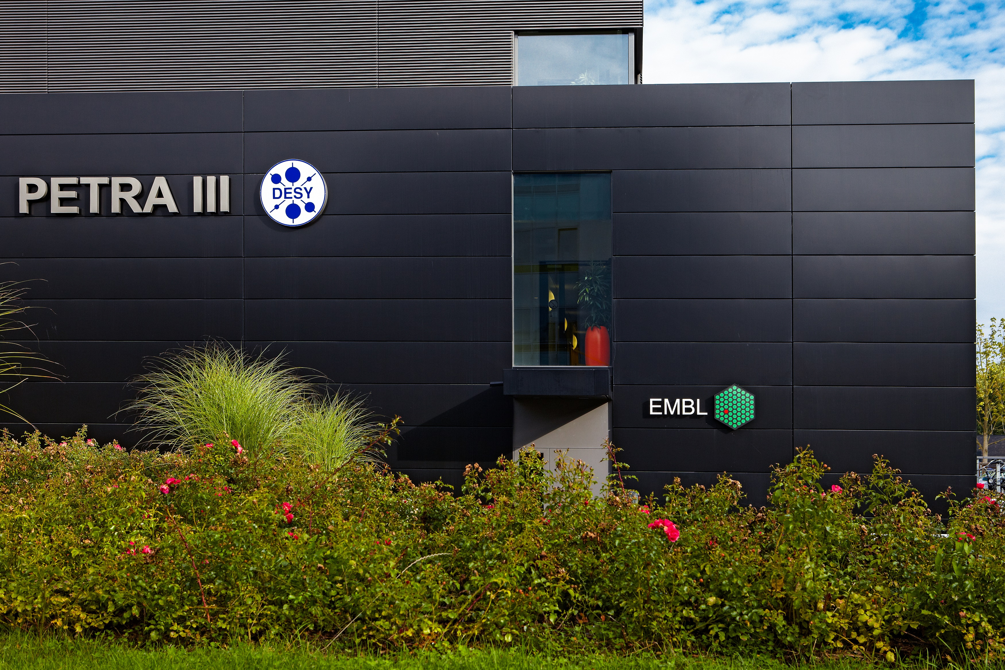 Visions: Matthias Wilmanns, Head of the European Molecular Biology Laboratory (EMBL) Hamburg