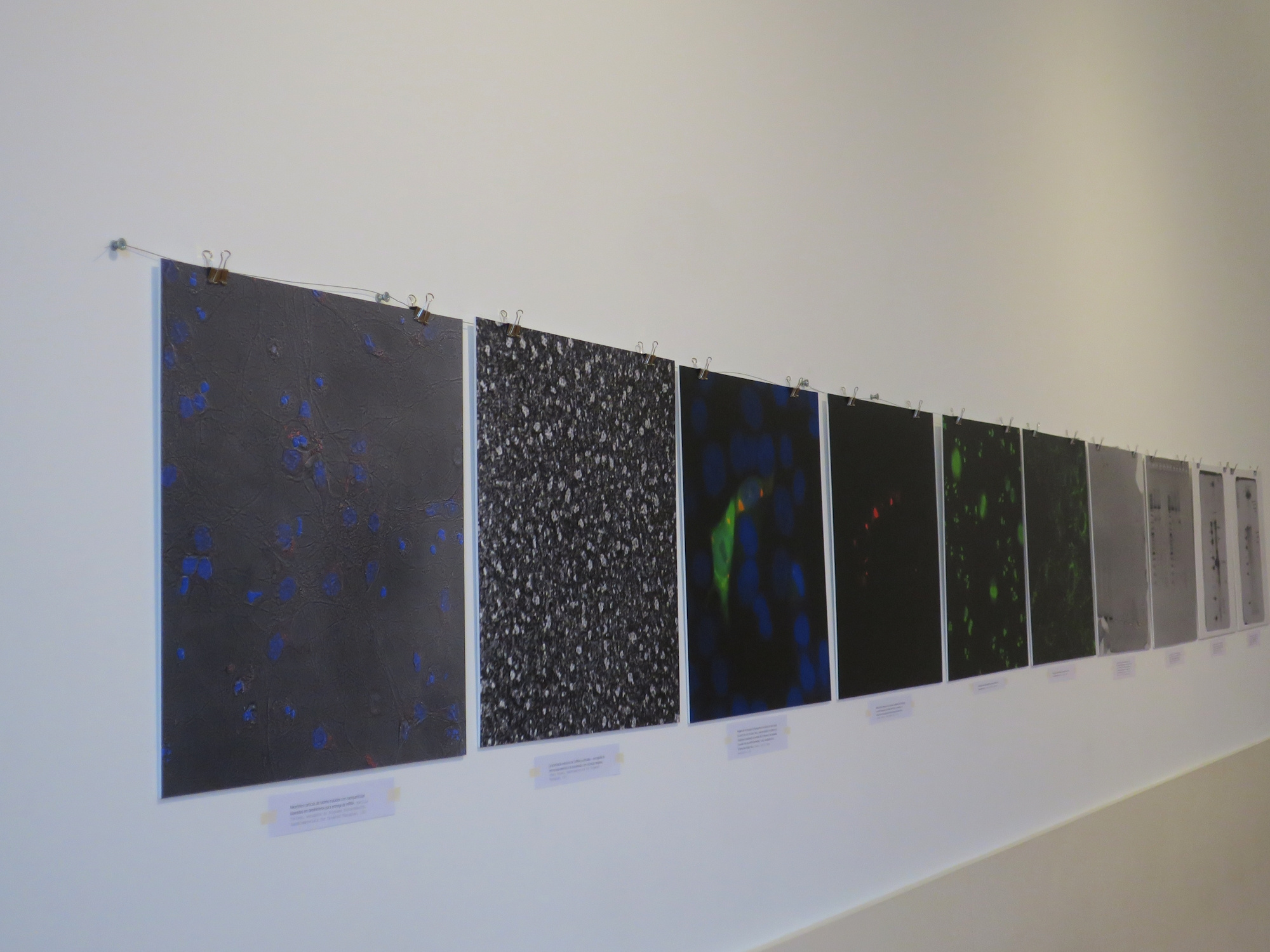 RNA SOLUTIONS – Why it is important to engage with citizens and promote trust in science