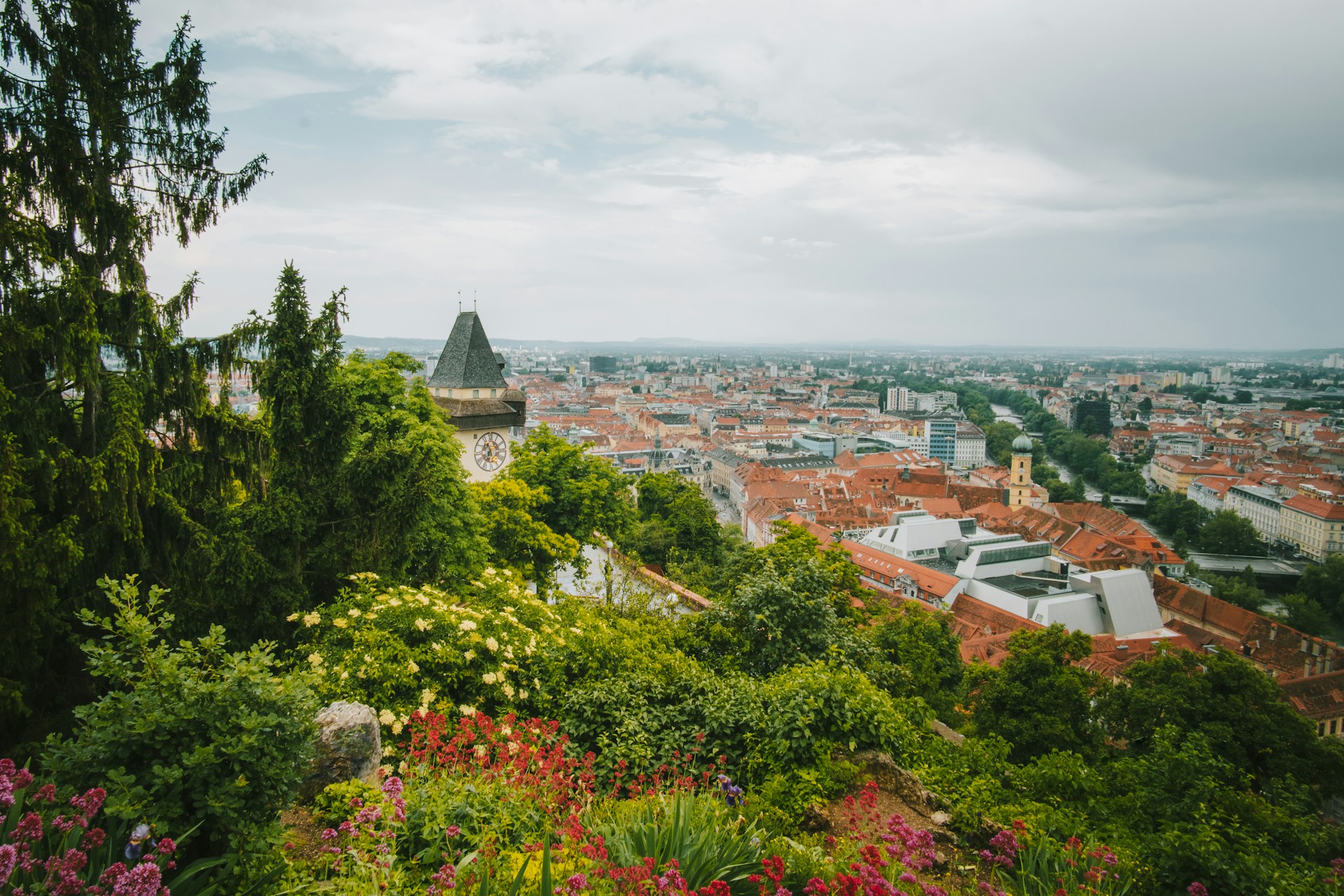 The PhD Program "Molecular Medicine” at the Medical University of Graz