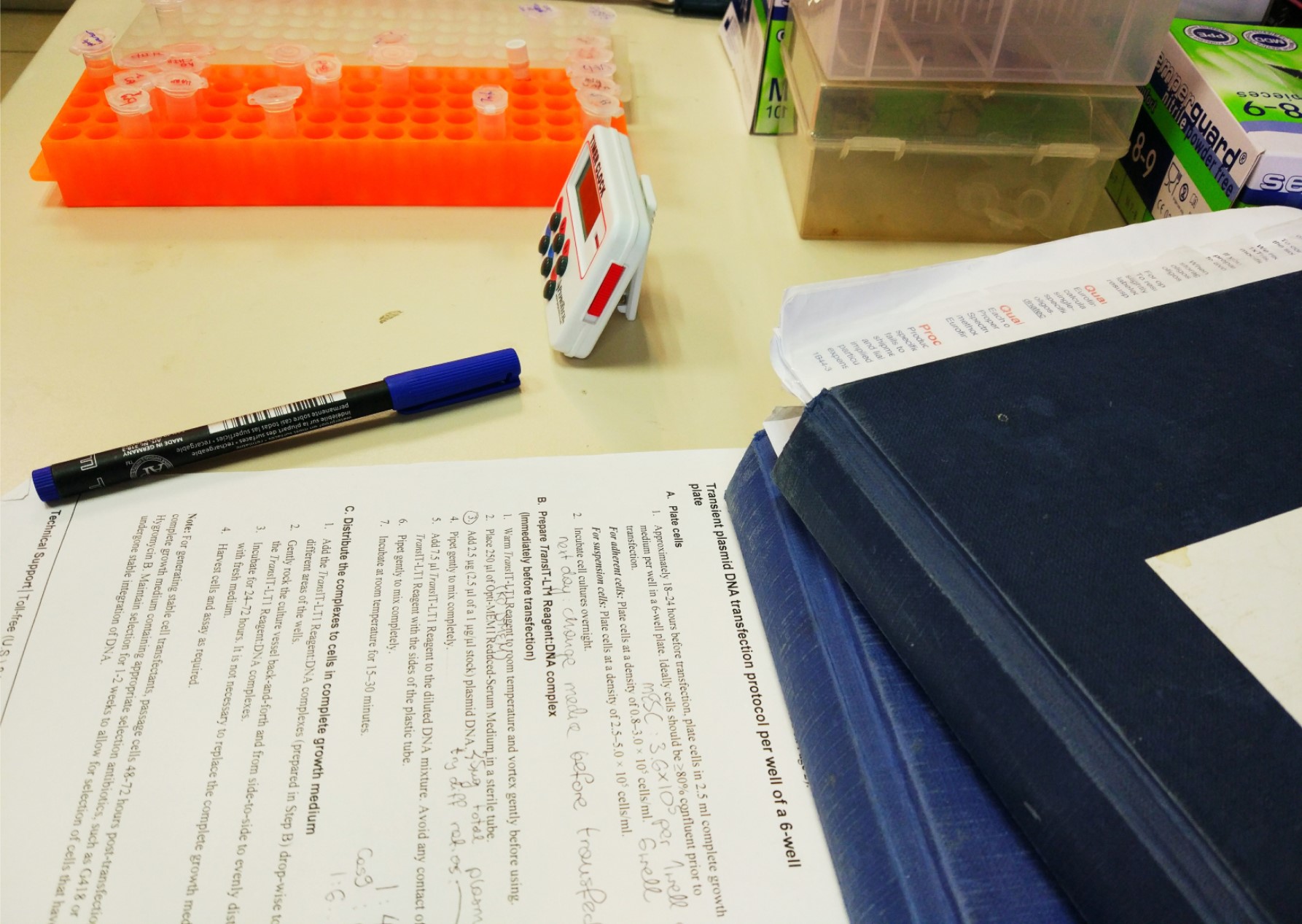Preparing the next generation – How to be a good mentor to a new student at the lab