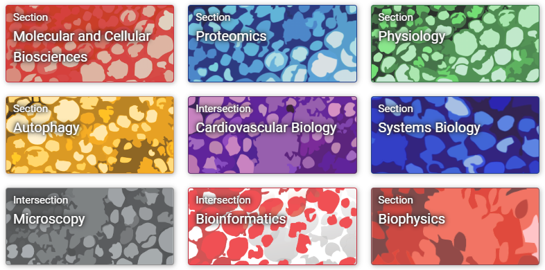 LS2: developing a versatile multidisciplinary organization