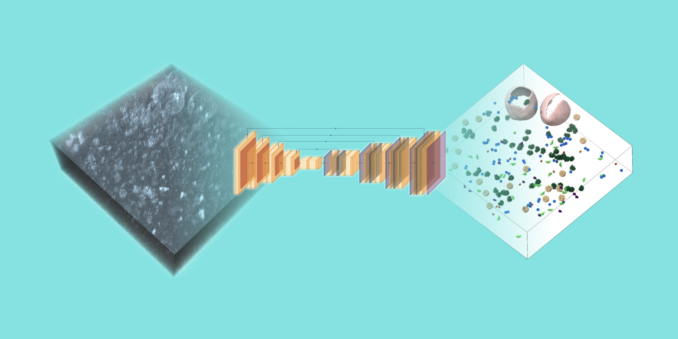 Competition to revolutionize CryoET 