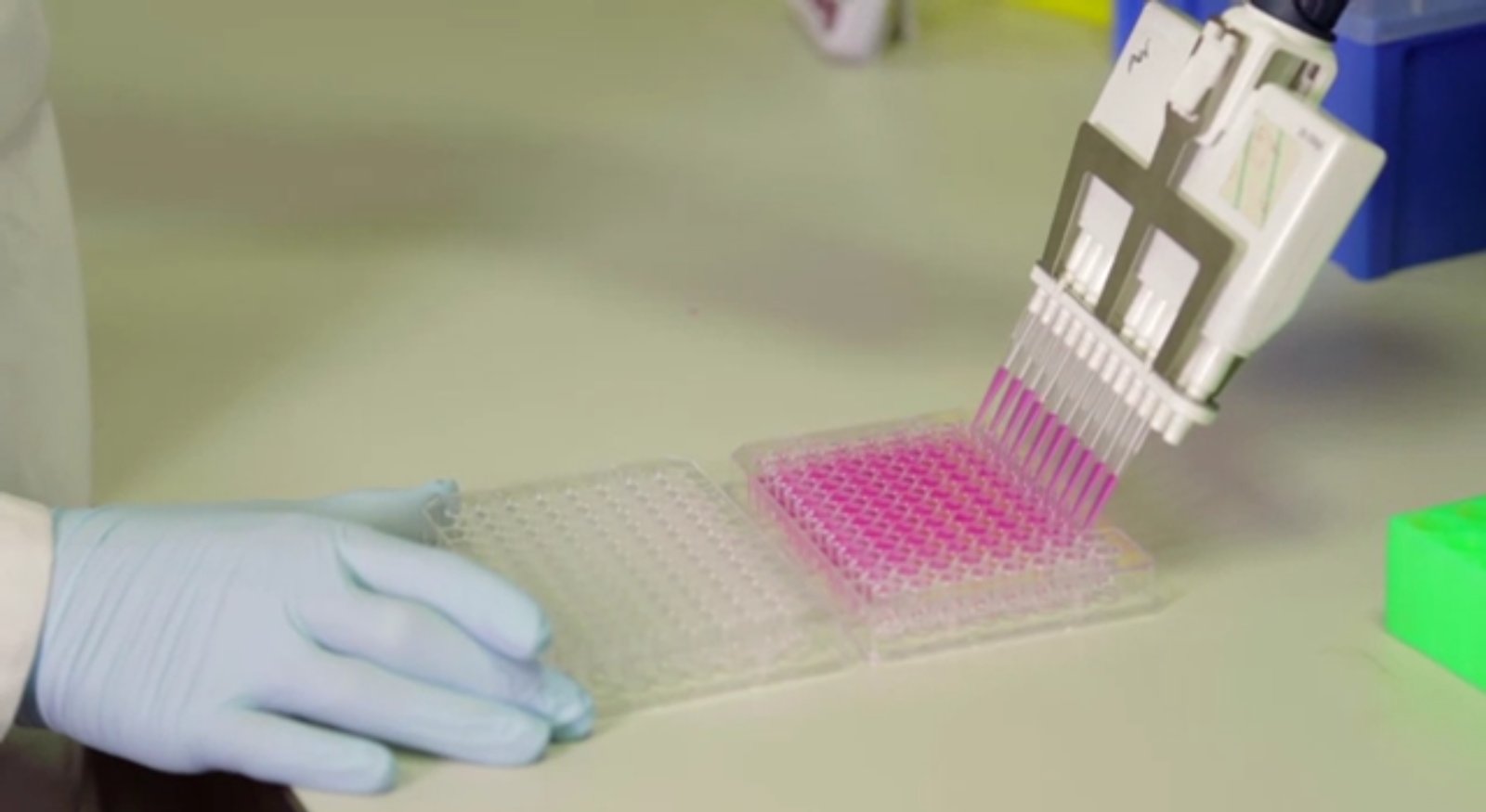 QMUL Science Alive:  Sandwich ELISA